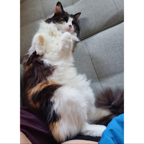 • Welcome! • - Picture 7 of 7